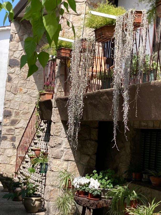 Tencarola B & B Extérieur photo