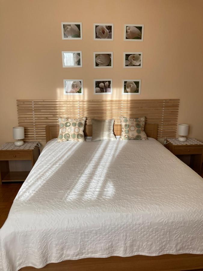 Tencarola B & B Extérieur photo